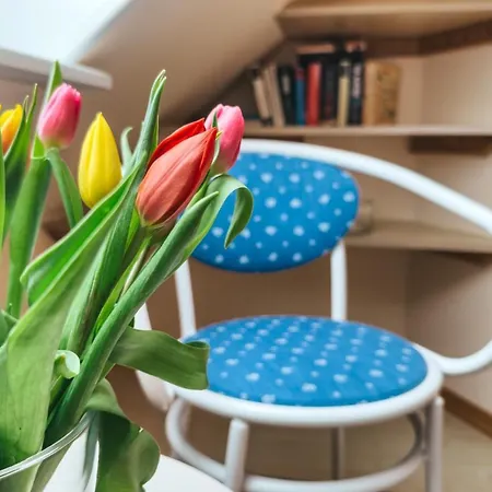 Apartment Gaestehaus Roell - 3 Norderney